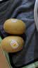 佳沛（zespri）新西兰金奇异果12粒特大果124-146g猕猴桃水果礼盒 实拍图