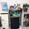 森森（SUNSUN）耀蓝鱼缸水泵小型潜水泵过滤泵抽水泵YQP-500 6W 实拍图