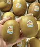 佳沛（zespri）新西兰金奇异果22粒巨大原箱146-175g猕猴桃水果礼盒 实拍图