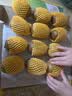佳沛（zespri）新西兰金奇异果12粒特大果124-146g猕猴桃水果礼盒 实拍图