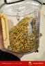 贡苑特级桂花干茶【2026年头茬冻干新花】桂林鲜金桂花干搭菊花茶30g 实拍图
