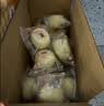 港荣蒸蛋糕奶香900g蛋糕小面包早餐零食饼干西式糕点甜品礼品盒 实拍图