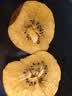 佳沛（zespri）新西兰金奇异果15粒巨大果146-175g猕猴桃水果礼盒 实拍图