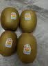 佳沛（zespri）新西兰金奇异果12粒特大果124-146g猕猴桃水果礼盒 实拍图