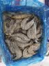 鲜京采 鲜冻大号黑虎虾 去冰净重2斤 31-40只/盒 美食大赛同款 实拍图