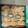 佳沛（zespri）新西兰金奇异果16粒经典果88-103g猕猴桃水果礼盒 实拍图