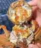 【礼券】蟹太太大闸蟹礼券公5.0两母4.0两4对8只铂金2218型送礼螃蟹卡券海鲜礼盒礼品卡 实拍图