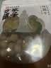 方家铺子大6A桂圆干500g 1斤带壳肉厚龙眼干 桑葚枸杞红枣泡茶干货中大果 实拍图