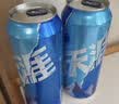 雪花啤酒(Snowbeer)勇闯天涯500ml*12听 清爽经典拉格 实惠整箱装 实拍图