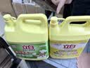 立白生姜大桶洗洁精2.5kg去腥去油洗A类食品用碗液洗洁灵洗涤灵洗涤剂 实拍图