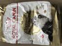 皇家猫粮 英短成猫粮 BS34 通用粮 12月以上 10KG【宠物金选】 实拍图