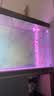 森森（SUNSUN）大型鱼缸底过滤水族箱客厅家用落地玻璃生态金鱼缸 【实时温显+灯控】纳米灰 1.2米长35cm宽 实拍图