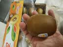 佳沛（zespri）新西兰金奇异果22粒巨大原箱146-175g猕猴桃水果礼盒 实拍图