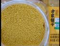 方家铺子中华老字号 有机黄小米3斤 朝阳小米杂粮粥 新米 月子米 东北粗粮 实拍图