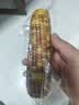 京鲜生【品质好货】版纳花糯玉米净重4斤单果100g+真空包装源头直发 实拍图