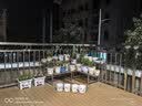 裕轩堂花盆陶瓷家用吊兰蝴蝶兰绿萝带托盘大号个性阳台简约多肉室内套装 网红组合（四个中号）A款 中等 实拍图