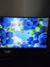 泰坦军团24.5英寸 2K 180Hz FastIPS快速液晶屏 1msGTG HDR400硬件低蓝光 桌面控制菜单电竞显示器 P2510R2 实拍图