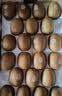 佳沛（zespri）新西兰  阳光金奇异果10粒巨大果单果146-175g 猕猴桃 实拍图