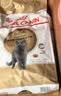皇家英短成猫粮 BS34 通用粮 12月以上 4.5KG【宠物金选】 实拍图