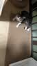憨憨乐园防剑麻垫猫抓垫猫抓板不掉屑耐抓防猫爪猫垫子入户门地垫用品 实拍图