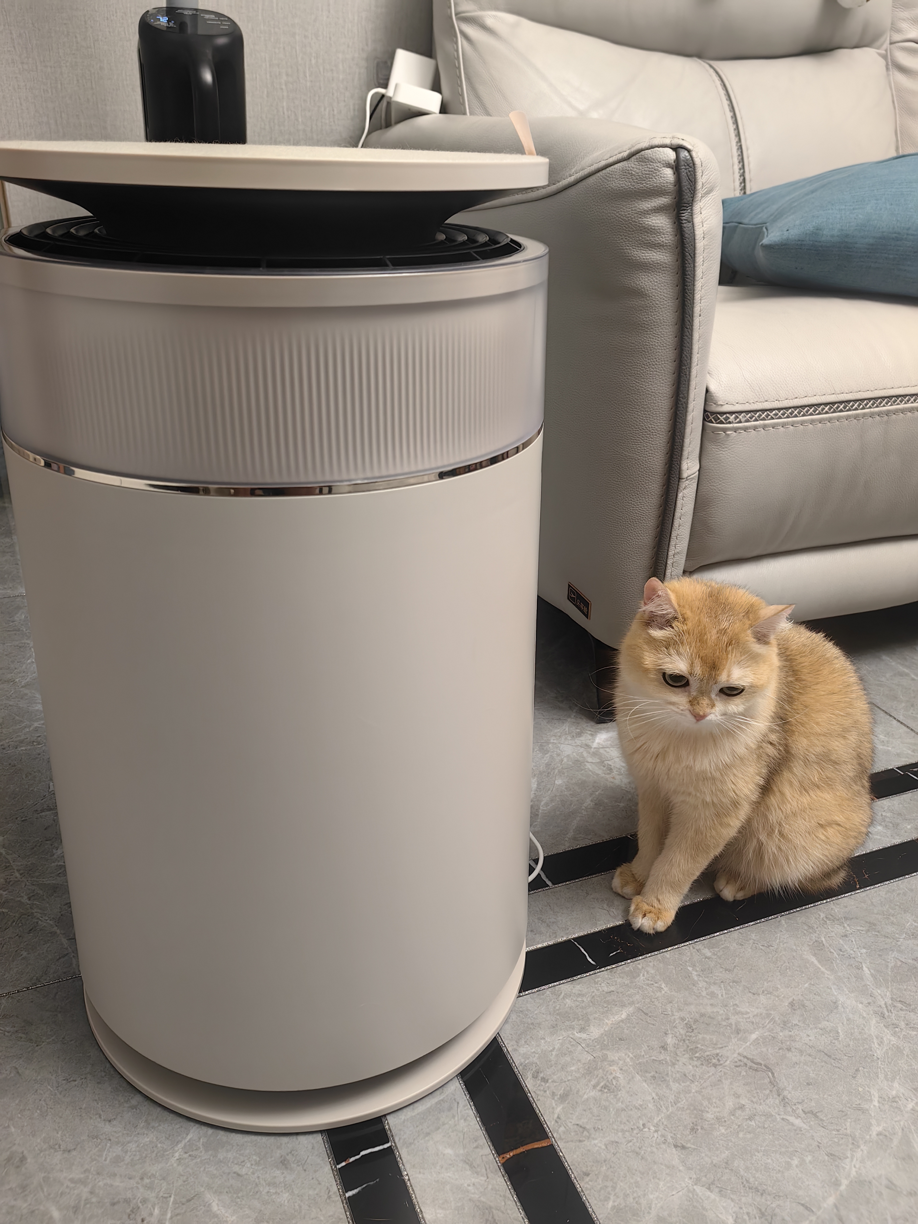 追觅FP10宠物净化器猫用空气净化器强力吸猫毛除浮毛室内除螨除尘除异味除甲醛异味过敏源杀菌 FP10【咨询享好礼】 实拍图