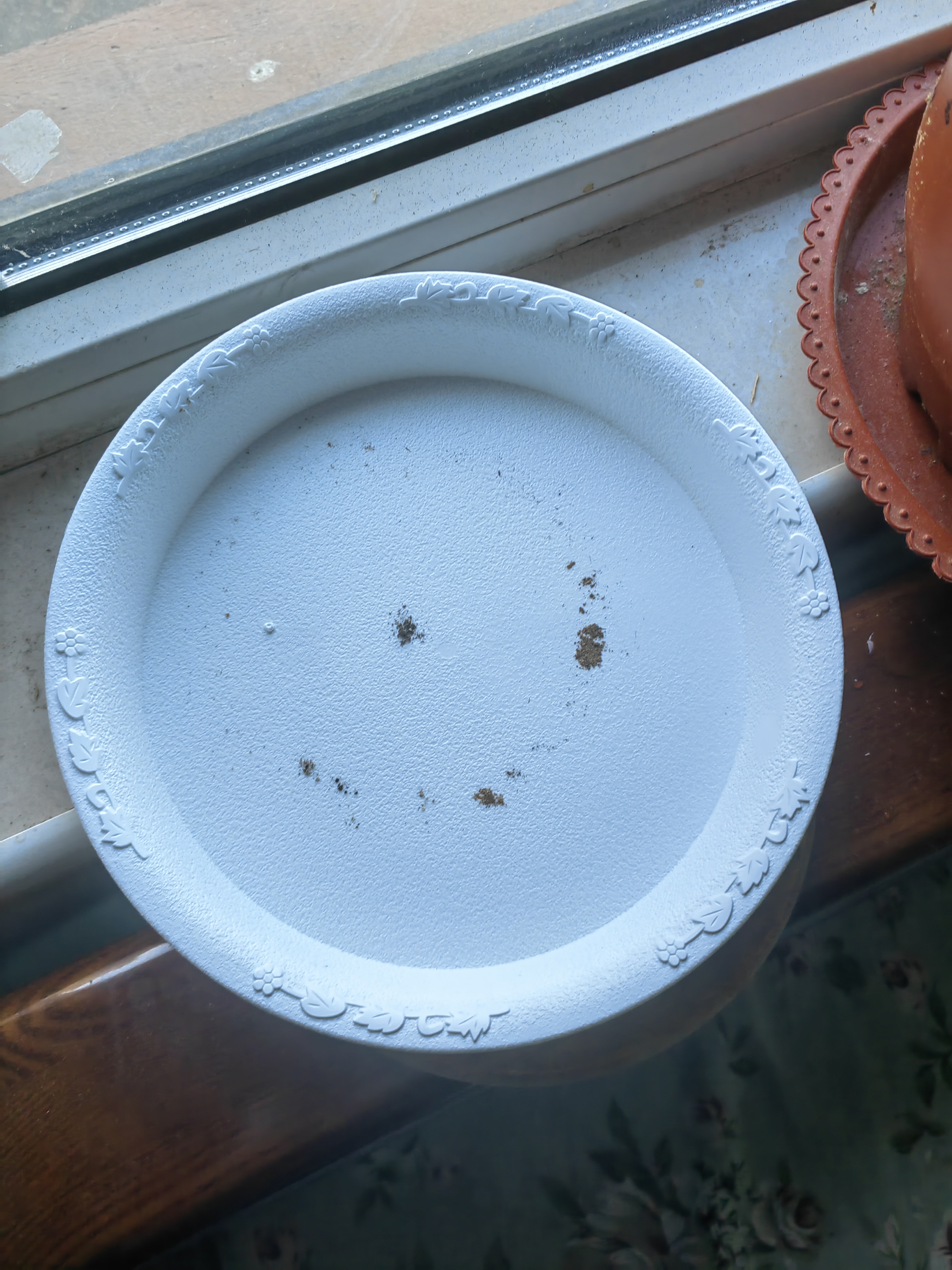 史丹利花盆托盘花托底座接水花盘底托花架花盒垫底盘 3只装 象牙白200 实拍图