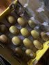 佳沛（zespri）新西兰 金奇异果特大果15粒134-146g猕猴桃水果礼盒 实拍图