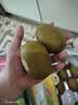 佳沛（zespri）新西兰金奇异果猕猴桃 5粒装 单果约88-103g 水果源头直发 实拍图