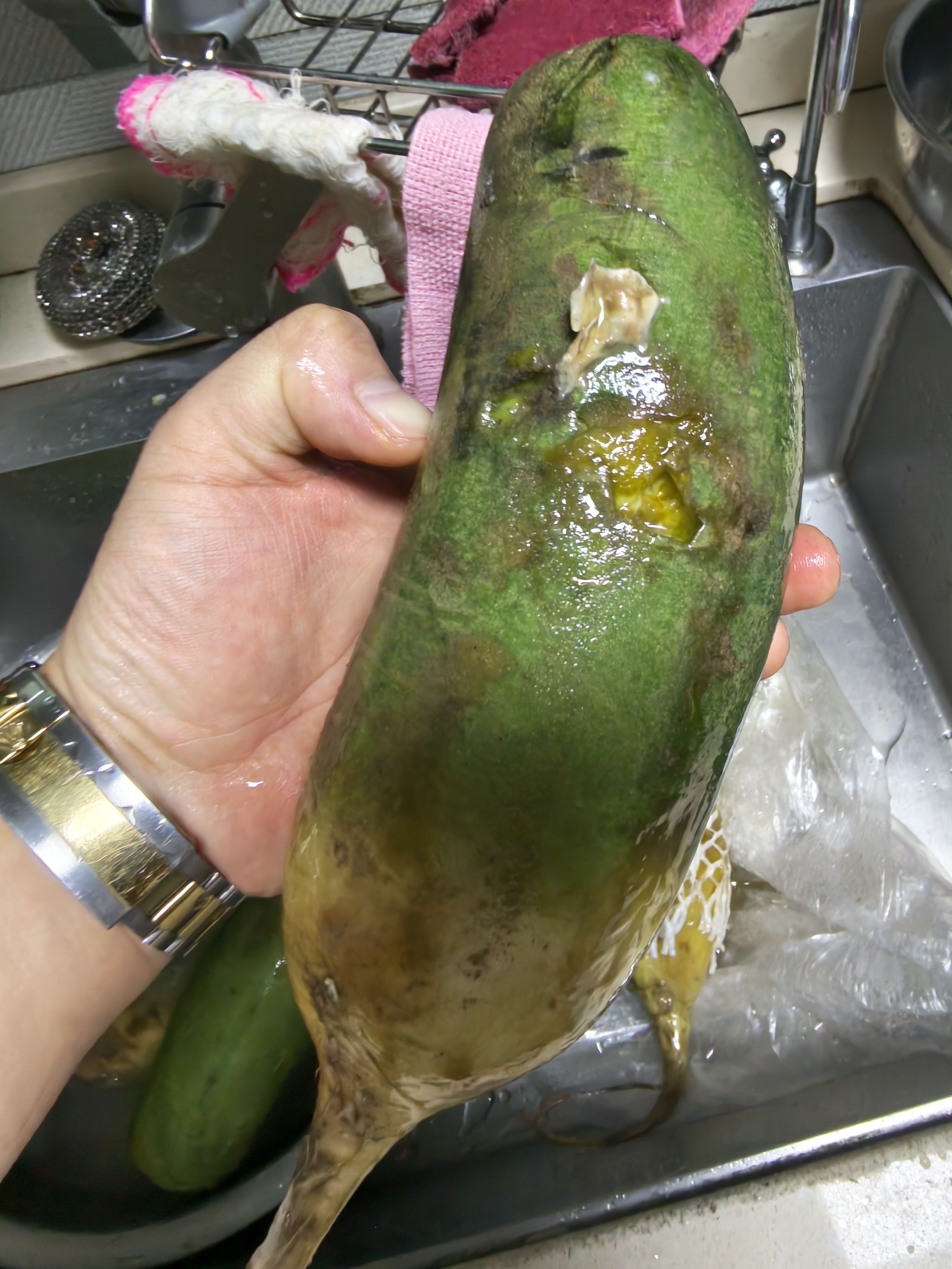 京地达山东潍坊水果萝卜净重5斤单果300g+ 微辣清脆蔬菜源头直发包邮 实拍图