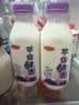 三元芋你鲜活香芋厚乳调制乳450ml*3 厚芋浓香 口味奶 新老装交替发 实拍图