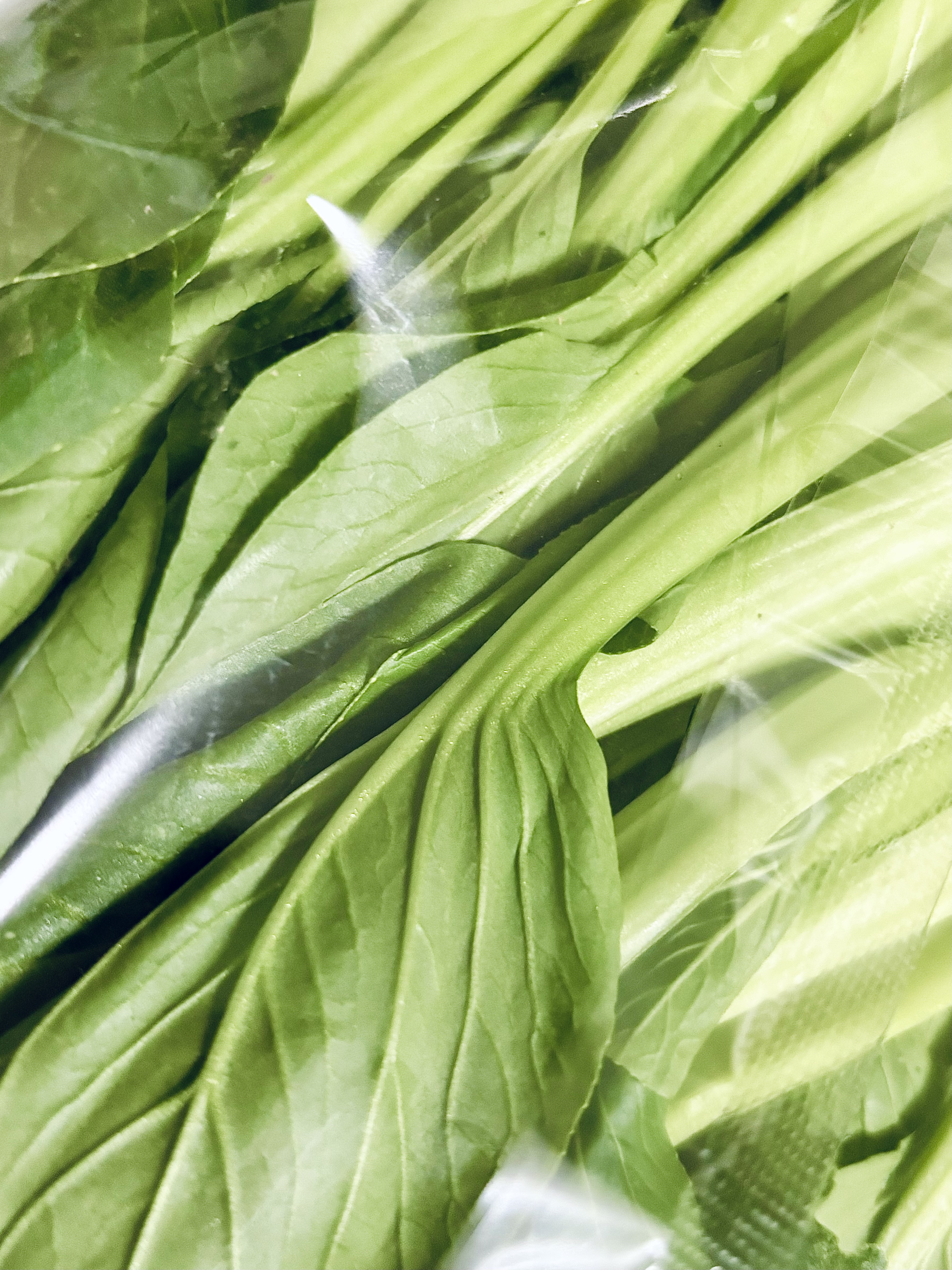 上海青约500g(油菜) 实拍图