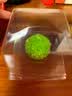 儿童种植水晶实验套装手工diy制作生长结晶男女孩小学生益智玩具 大号生长水晶6颗套装+6展示盒 实拍图