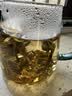 福茗源茉莉花茶龙珠 浓香2026新茶茉莉香珠绣球茶叶自己喝小圆罐装100g 实拍图