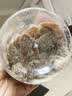 半山农 红糖姜片600g 姜糖片生姜片寒暖即食姜茶姜汤休闲零食煮红糖姜茶 实拍图