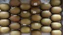 佳沛（zespri）金奇异果25-27粒原箱特大果124-146g猕猴桃水果礼盒 实拍图