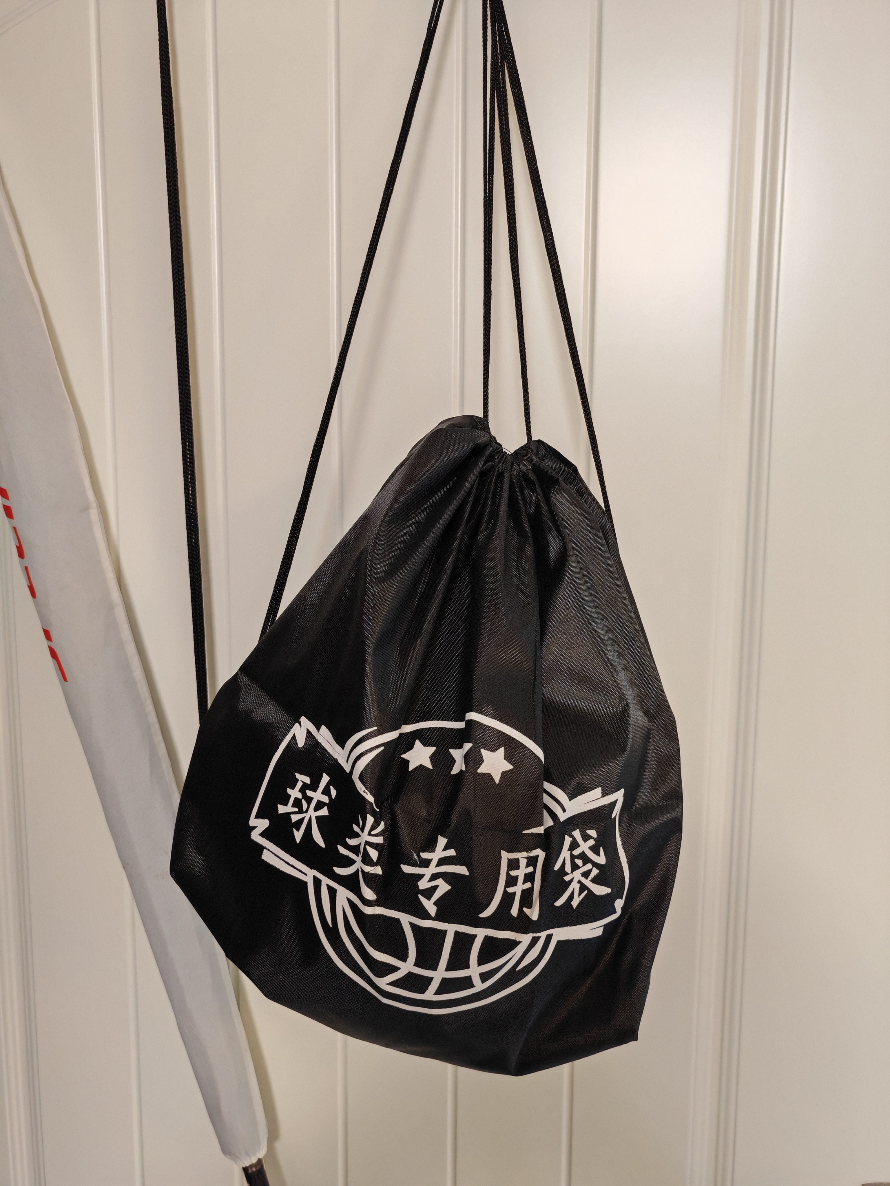 李宁排球【中考训练】专用比赛体育课中小学体考成人儿童软硬5号排球 实拍图