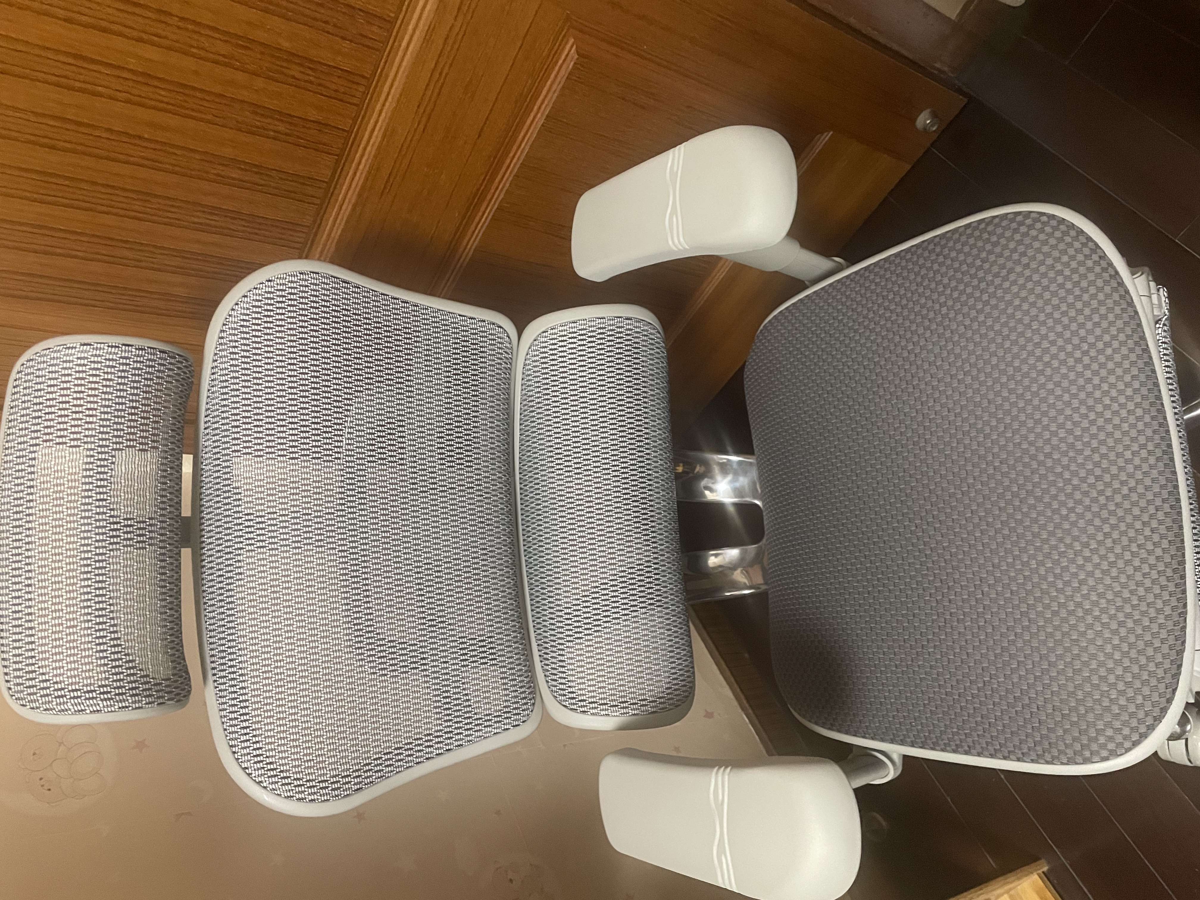 Ergonor保友金豪B雄鹰/悦动 人体工学椅 电脑椅电竞椅办公椅子可躺座椅 银白(云感科技坐垫)+躺舒宝 实拍图