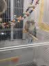 星帮尼次氯酸消毒液宠物猫咪狗狗除臭剂家用室内杀菌水猫藓环境除菌喷雾 实拍图