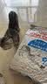皇家猫粮 室内成猫粮 I27 通用粮 12月以上 10KG 实拍图