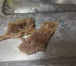 大希地【赠礼包】整切牛排牛肉儿童牛排菲力西冷眼肉冷冻食材盒装10片装 整切西冷牛排5片+整切菲力牛排5片 实拍图