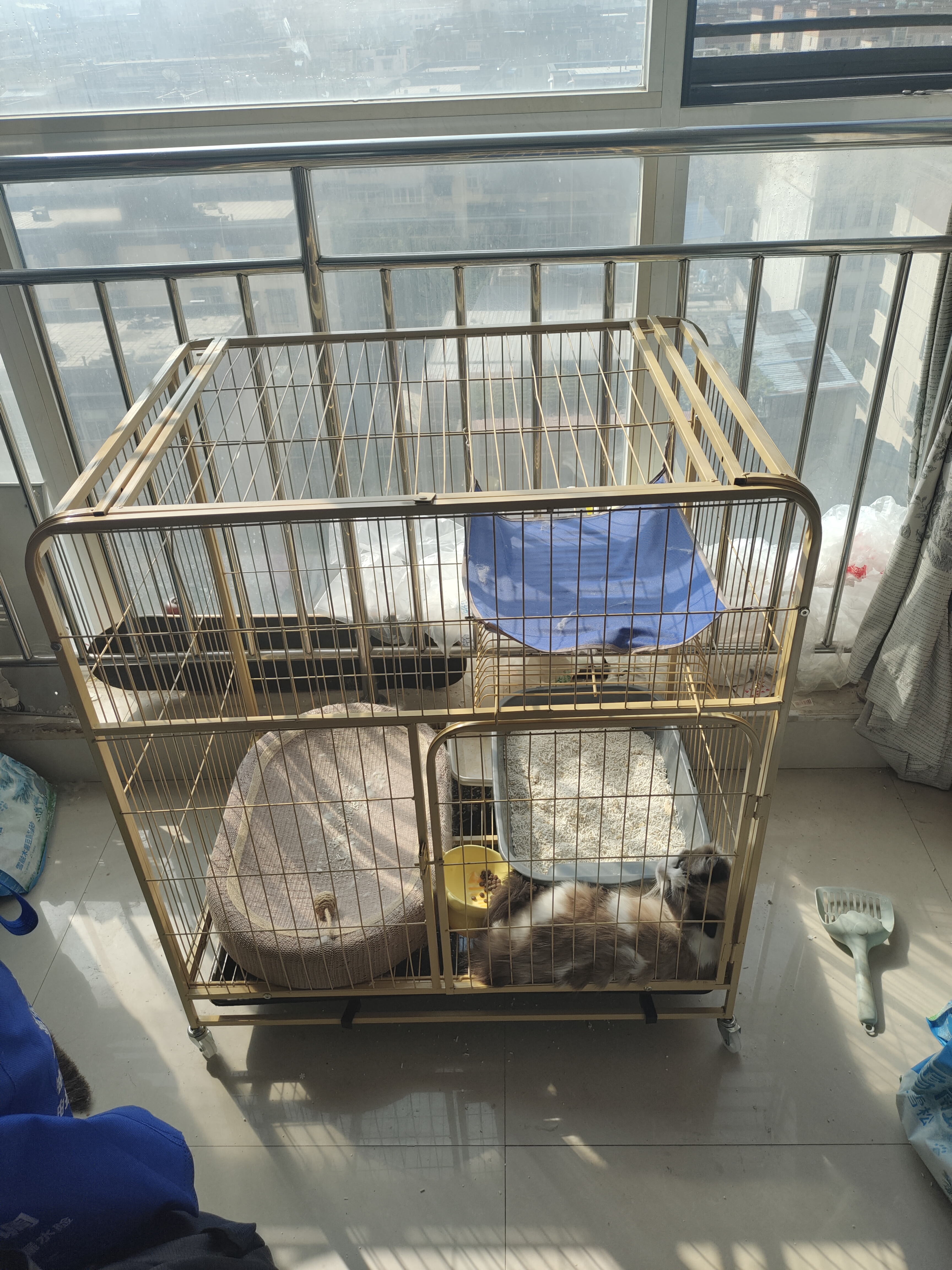 疯狂的主人猫抓板窝剑麻布猫抓盆不掉屑猫窝宠物猫玩具猫爪板 实拍图