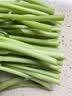 蒿子杆300g(茼蒿） 实拍图