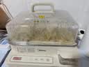 美的（Midea）电蒸锅 蒸锅透明可视 智能预约 大容量 家用早餐蒸汽锅 蒸包子馒头蒸蛋 不锈钢蒸片电锅多功能锅 22L 【三层不锈钢蒸架】 ZGC322301 实拍图