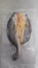 鲜京采醇香黄鱼鲞6条/1.2kg(单条190-210g)三去处理【京东自有品牌】 实拍图