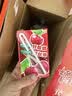 伊利【时代少年团同款】优酸乳车厘子味250ml*24盒 礼盒装 实拍图