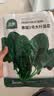 北蔬 大叶菠菜种子苗秋冬四季播种蔬菜种籽 寒雄1号大叶菠菜种子200g 实拍图