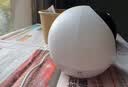 萤石H6 300万超清 4G无限流量摄像头 室内摄像头家用监控 星光夜视 360°全景看护 实拍图