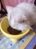 皇家猫粮 幼猫猫粮 幼猫专用 K36 通用粮 4-12月 400g 实拍图