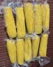 京鲜生 东北黄玉米260g*10棒 真空包装黏玉米棒粘玉米 源头直发 实拍图