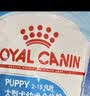皇家狗粮 幼犬狗粮 宠物 小型犬 MIJ31 全价犬粮 2-10月 2KG 实拍图